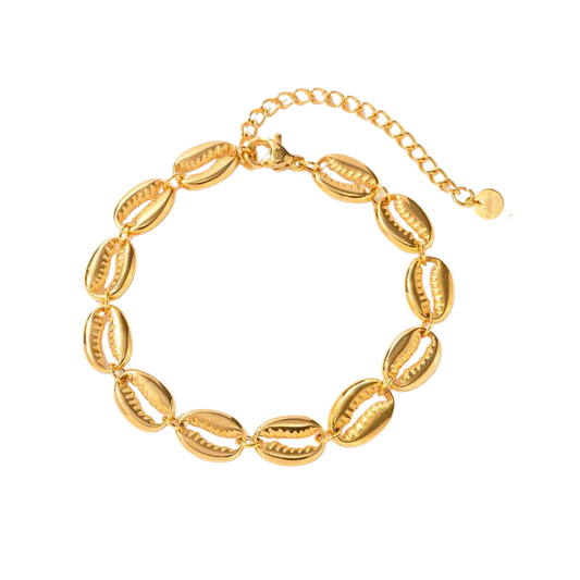 Muschel Armband Edelstahl